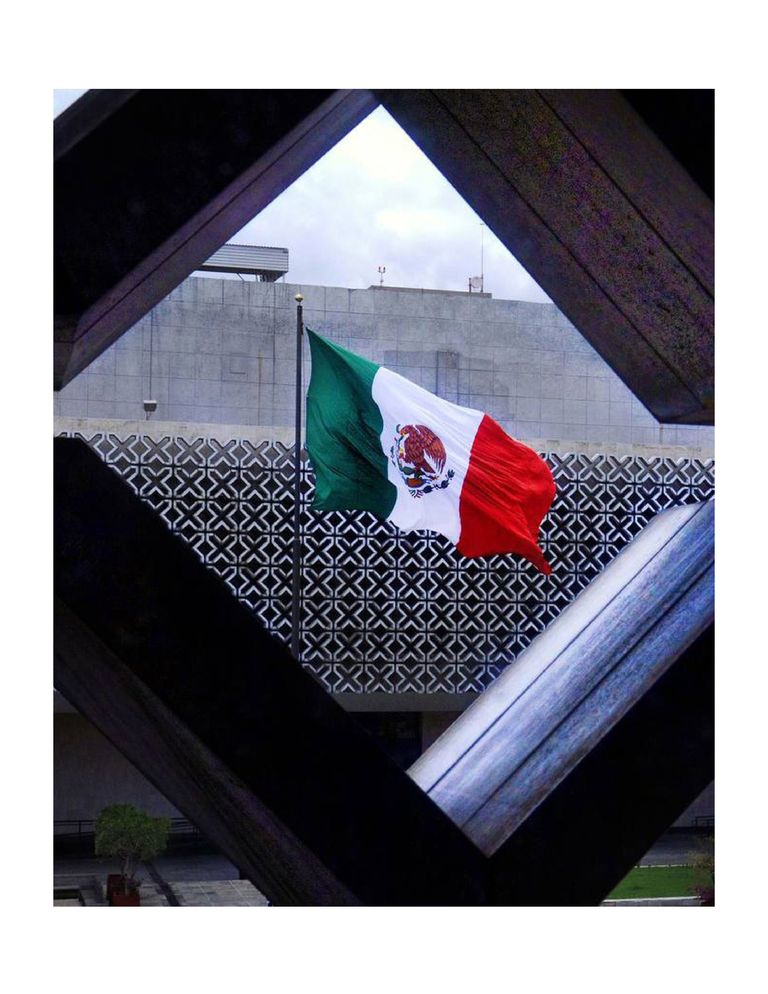 Página 8 del Informe