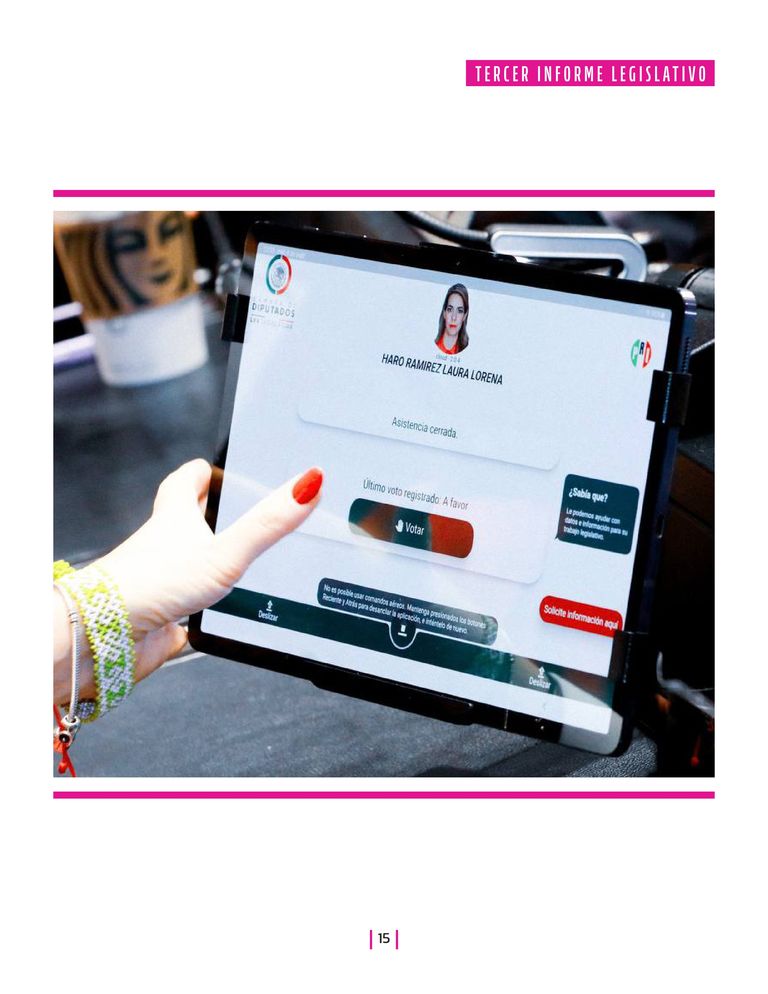 Página 15 del Informe