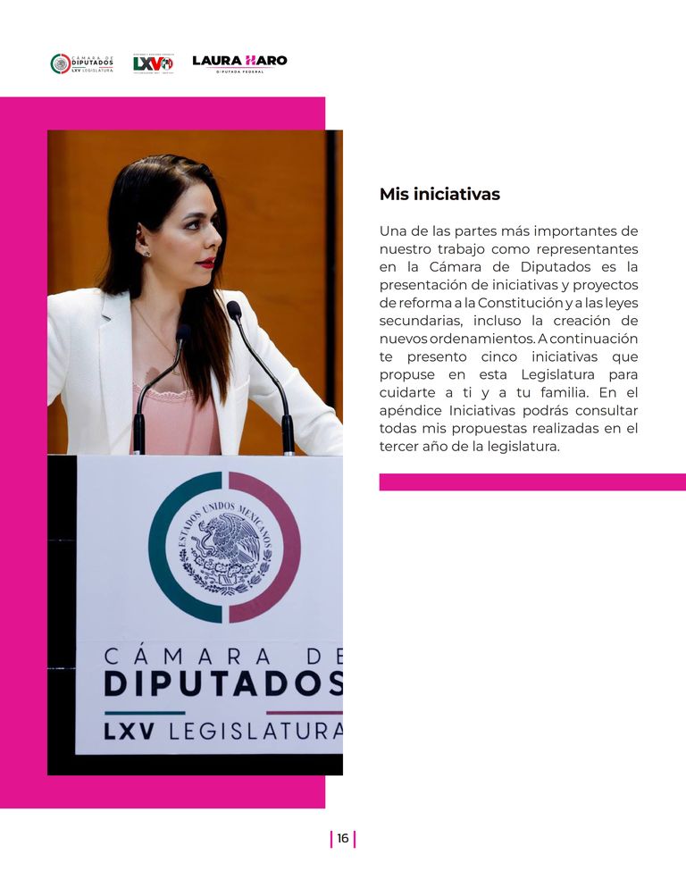 Página 16 del Informe