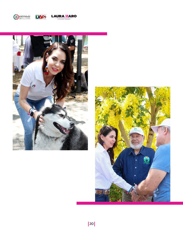 Página 20 del Informe