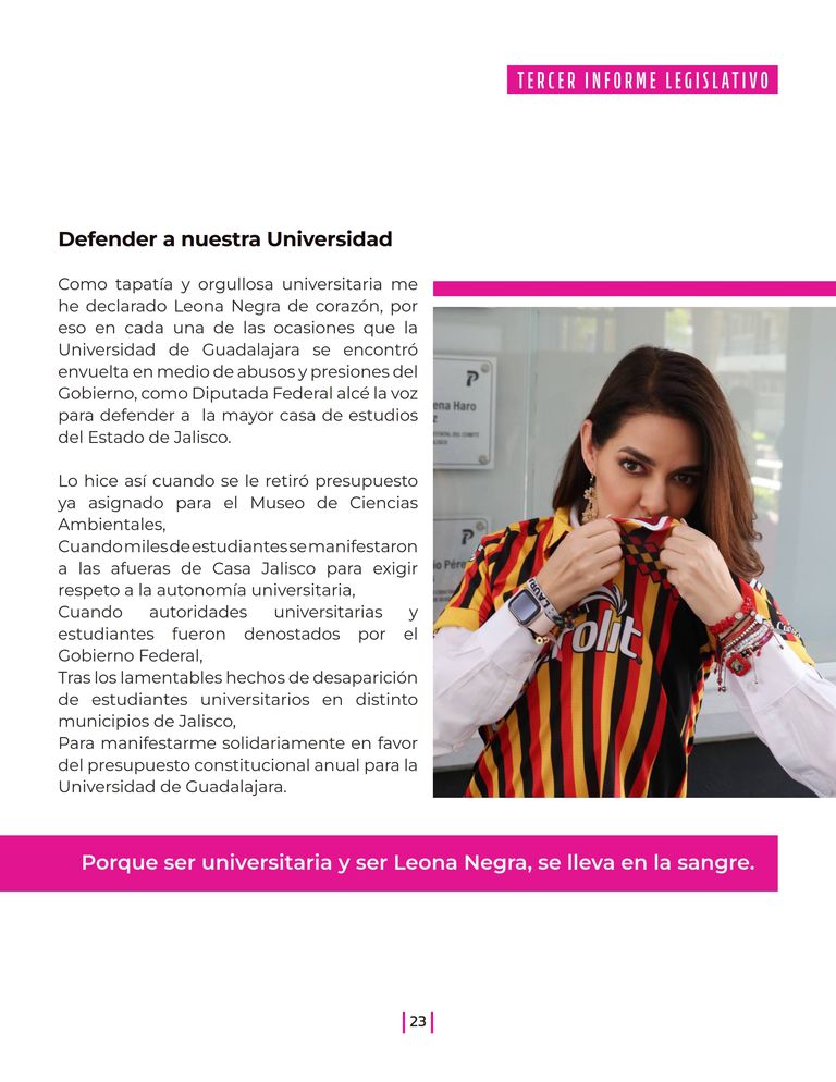 Página 23 del Informe