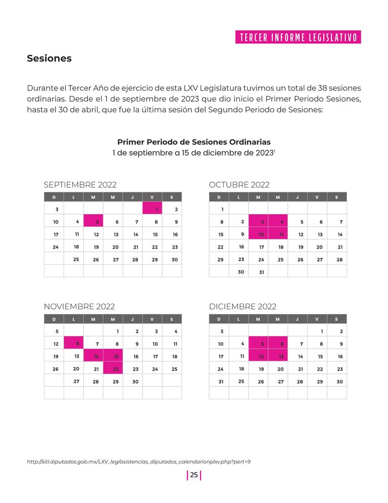 Página 25 del Informe