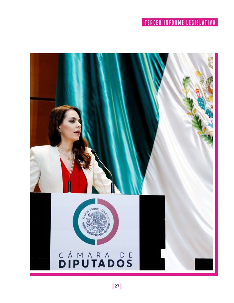 Página 27 del Informe