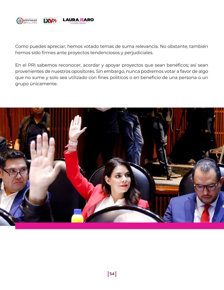 Página 54 del Informe