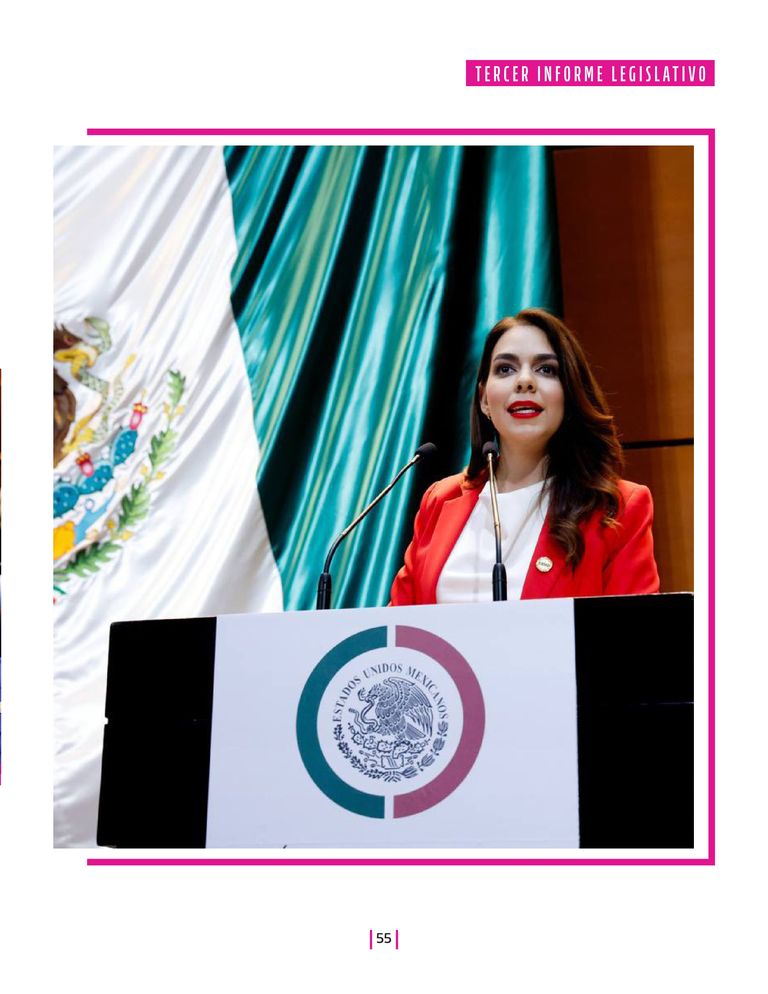 Página 55 del Informe