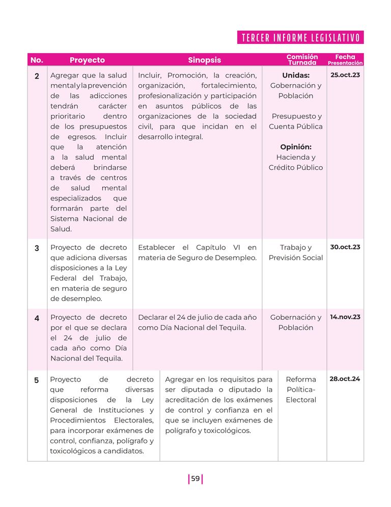 Página 59 del Informe